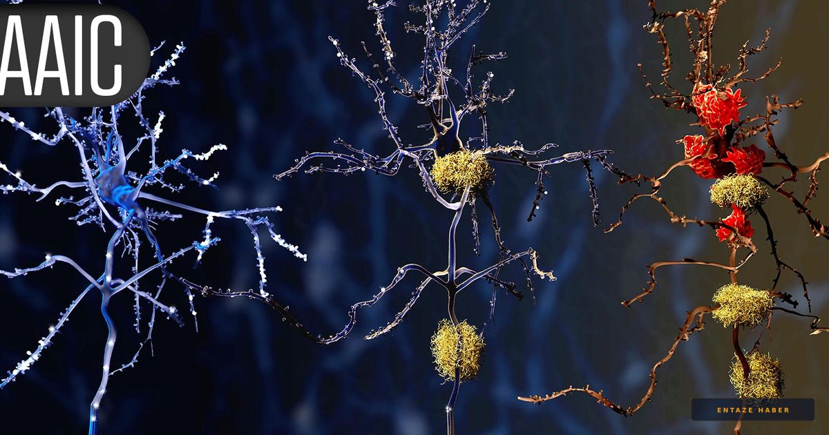 Chronic Stress Hormone Levels Linked to Rapid Cognitive Decline in Seniors