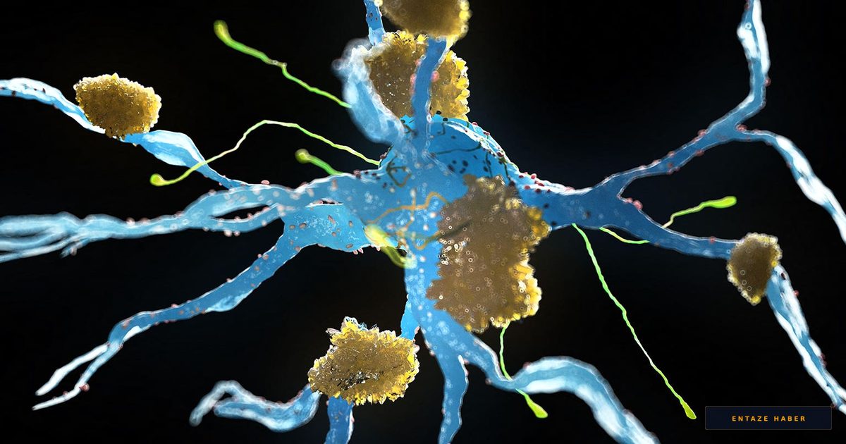 WHO Unveils Fresh Dementia Prevention Roadmap: What You Should Avoid